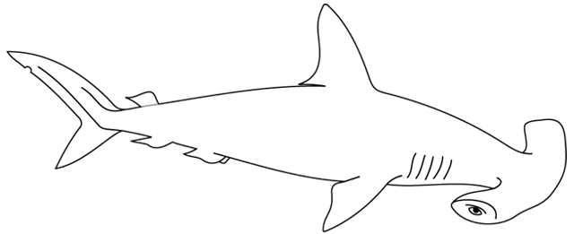 Tiburón #9382
