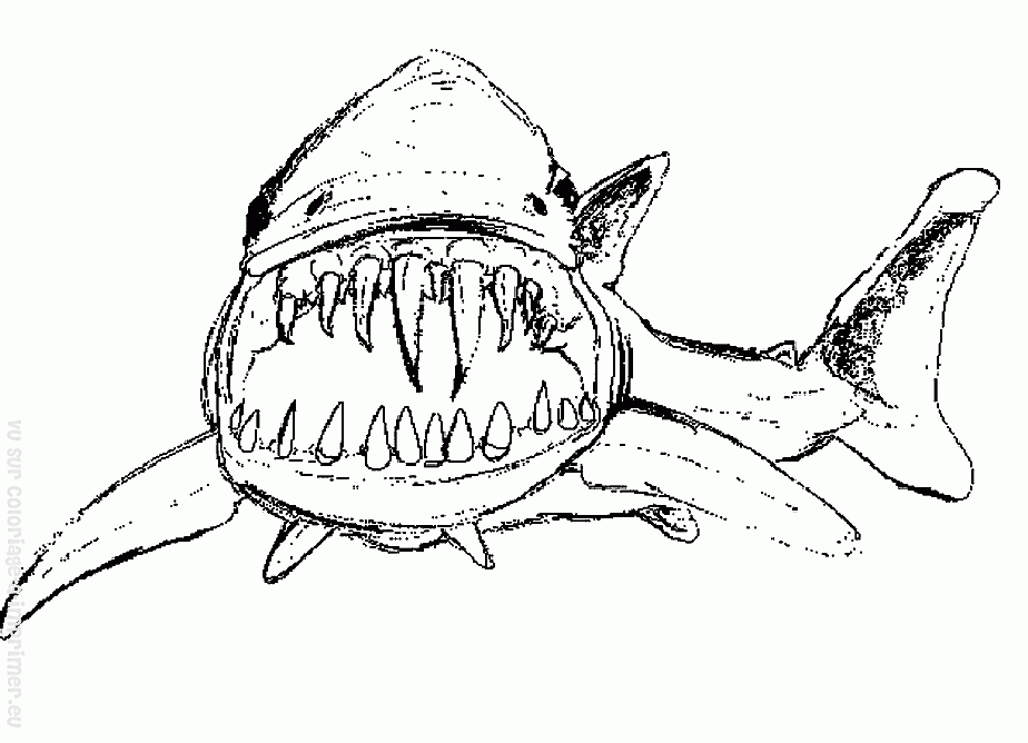 Tiburón #9386