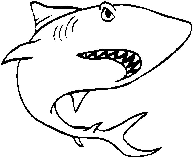 Tiburón #9387