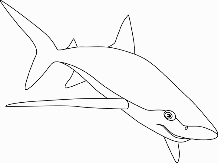 Tiburón #9388