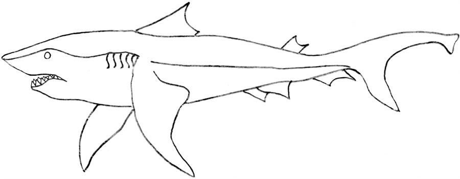 Tiburón #9389