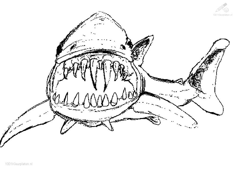 Tiburón #9391