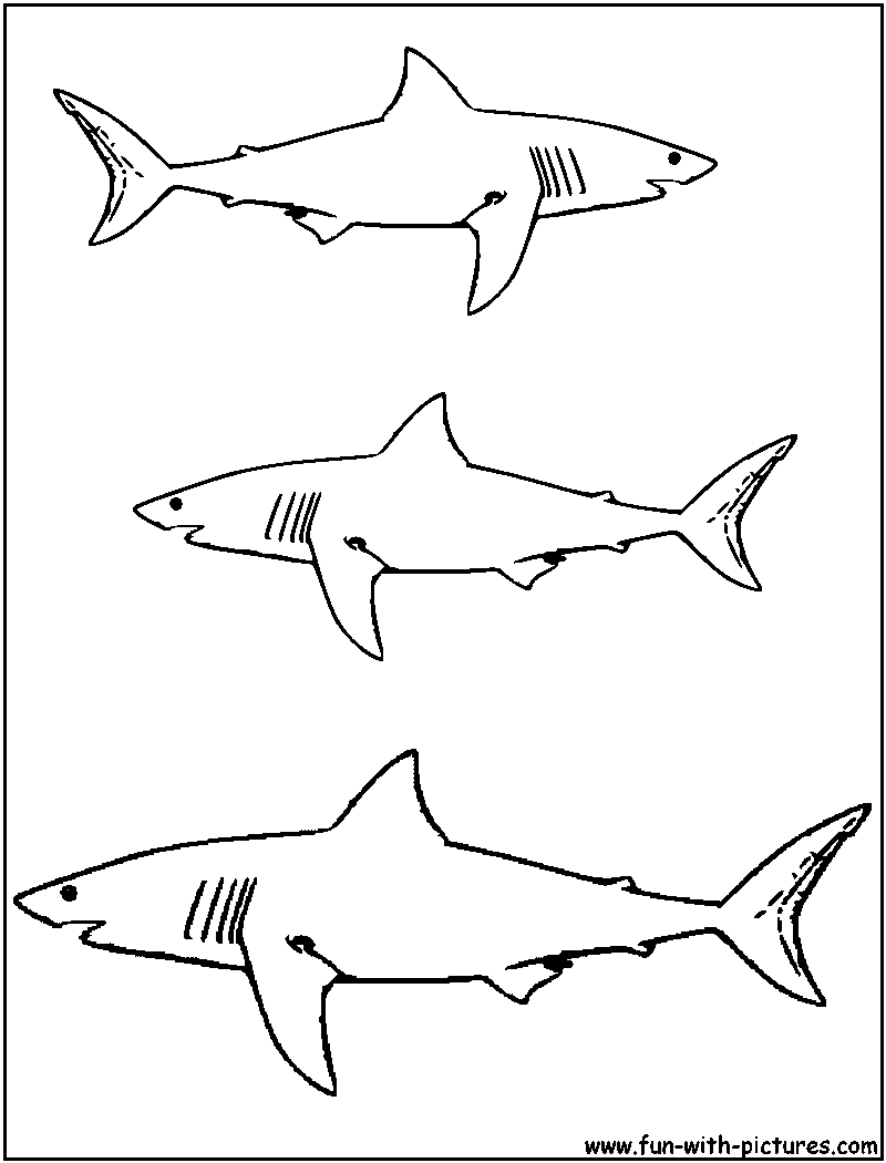 Tiburón #9396