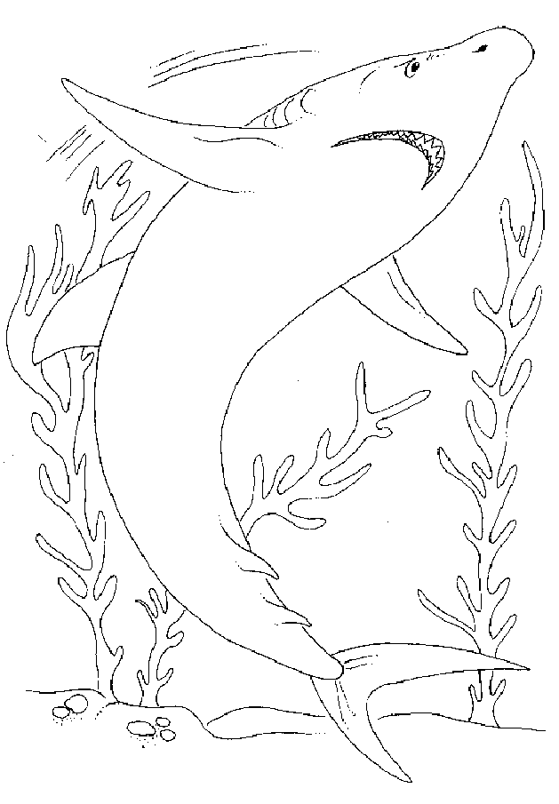 Tiburón #9414