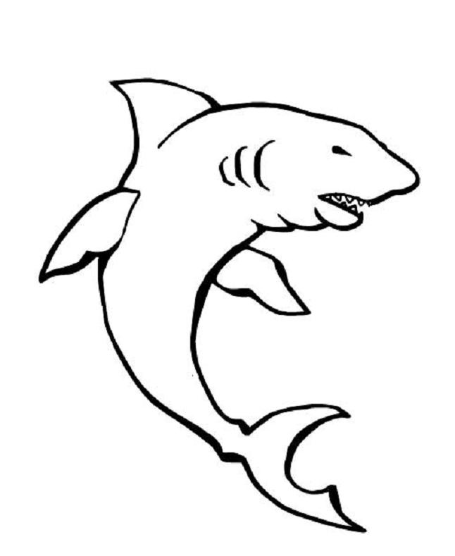 Tiburón #9421