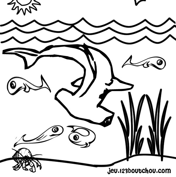 Tiburón #9422