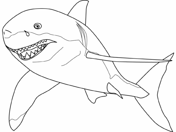 Tiburón #9436