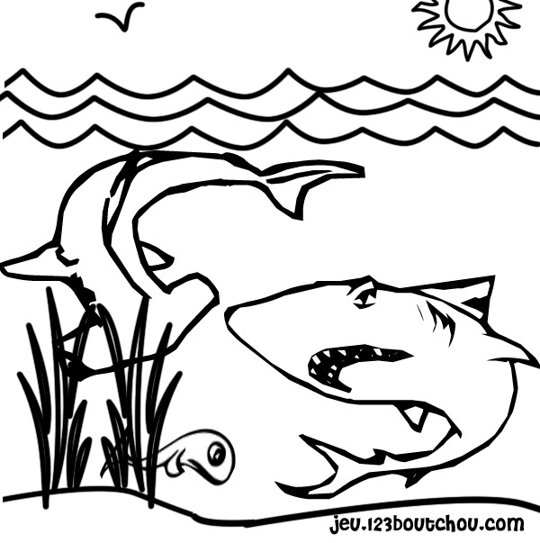 Tiburón #9455