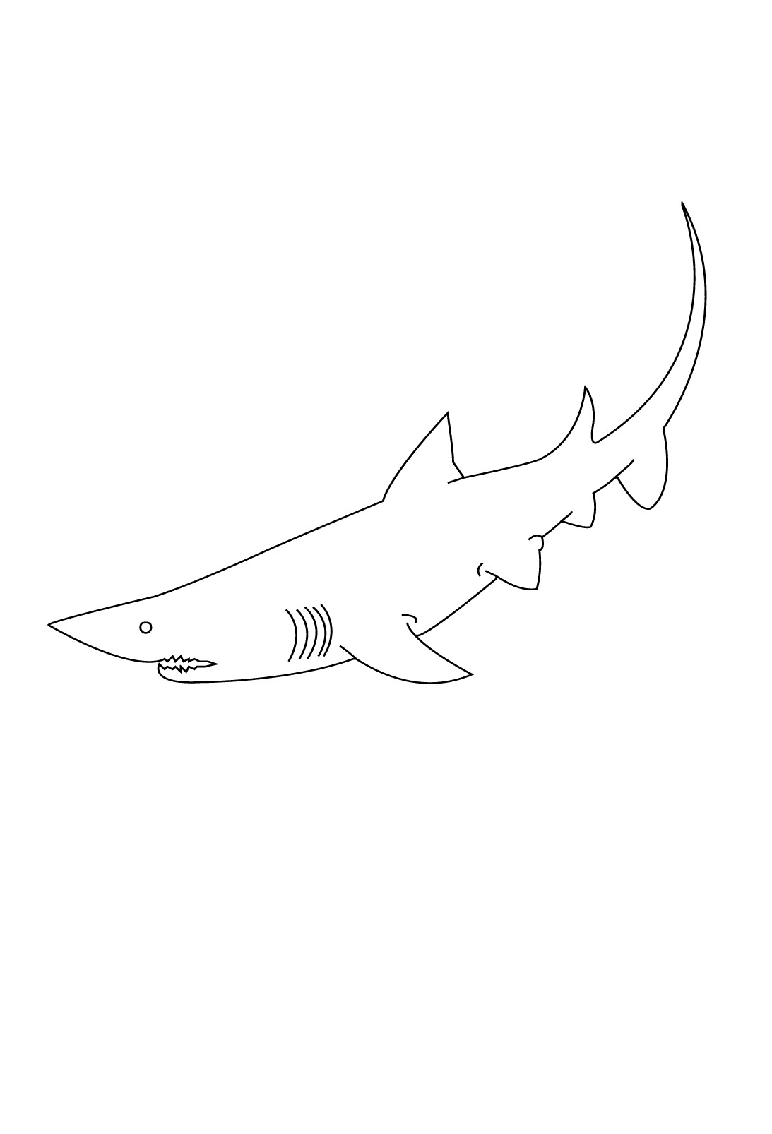 Tiburón #9460