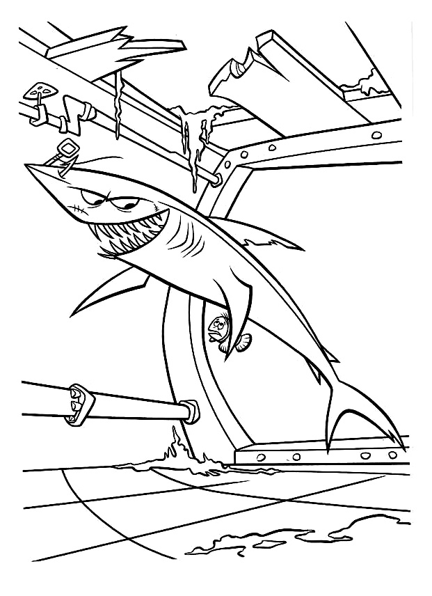Tiburón #9465