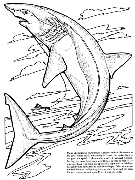 Tiburón #9466
