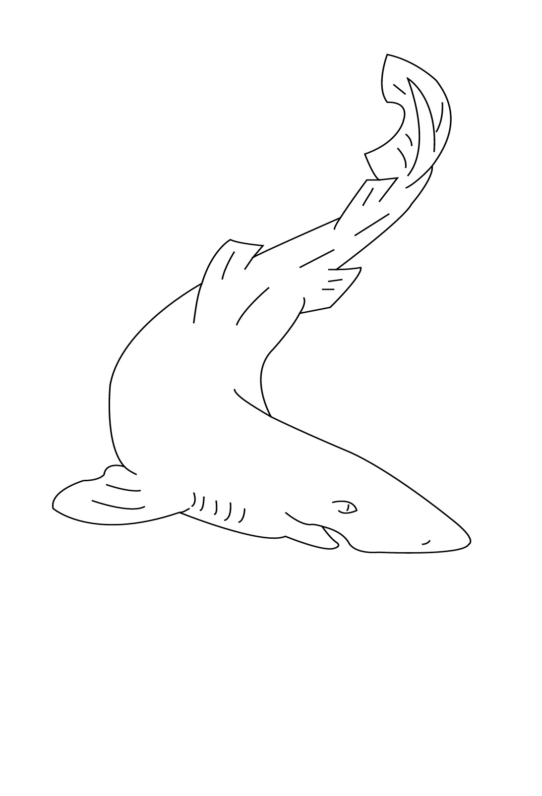 Tiburón #9473