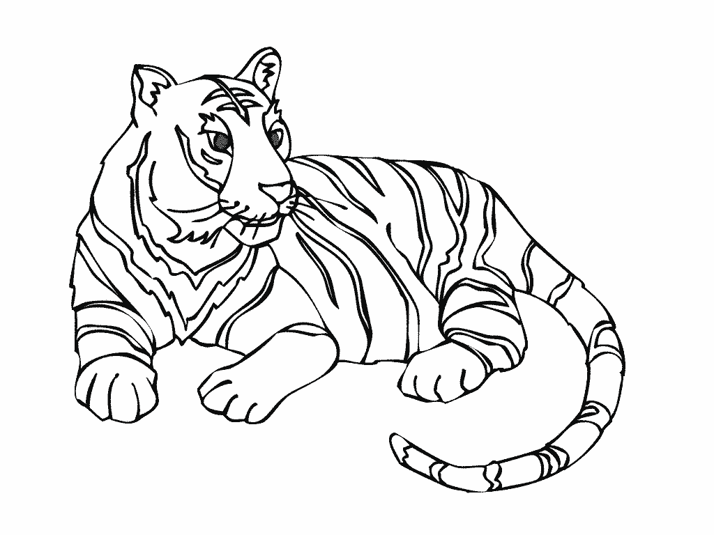 Tigre #9480