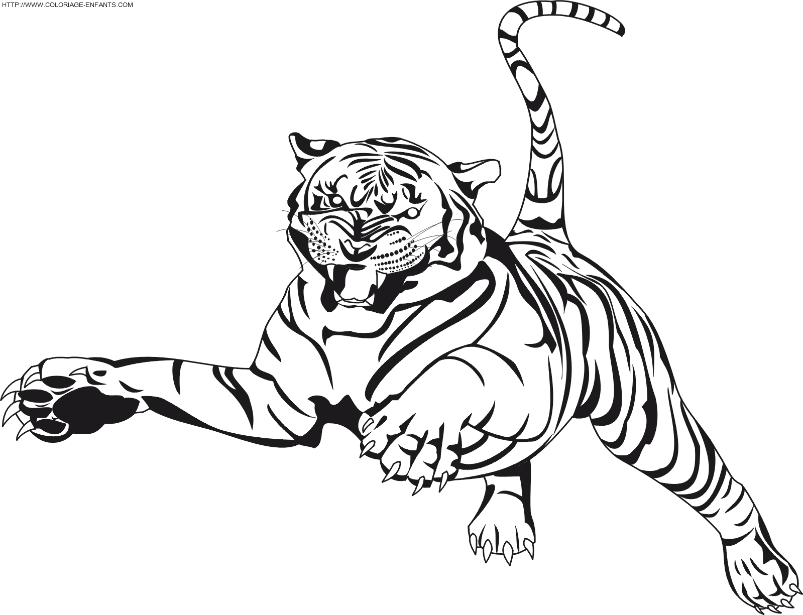 Tigre #9484