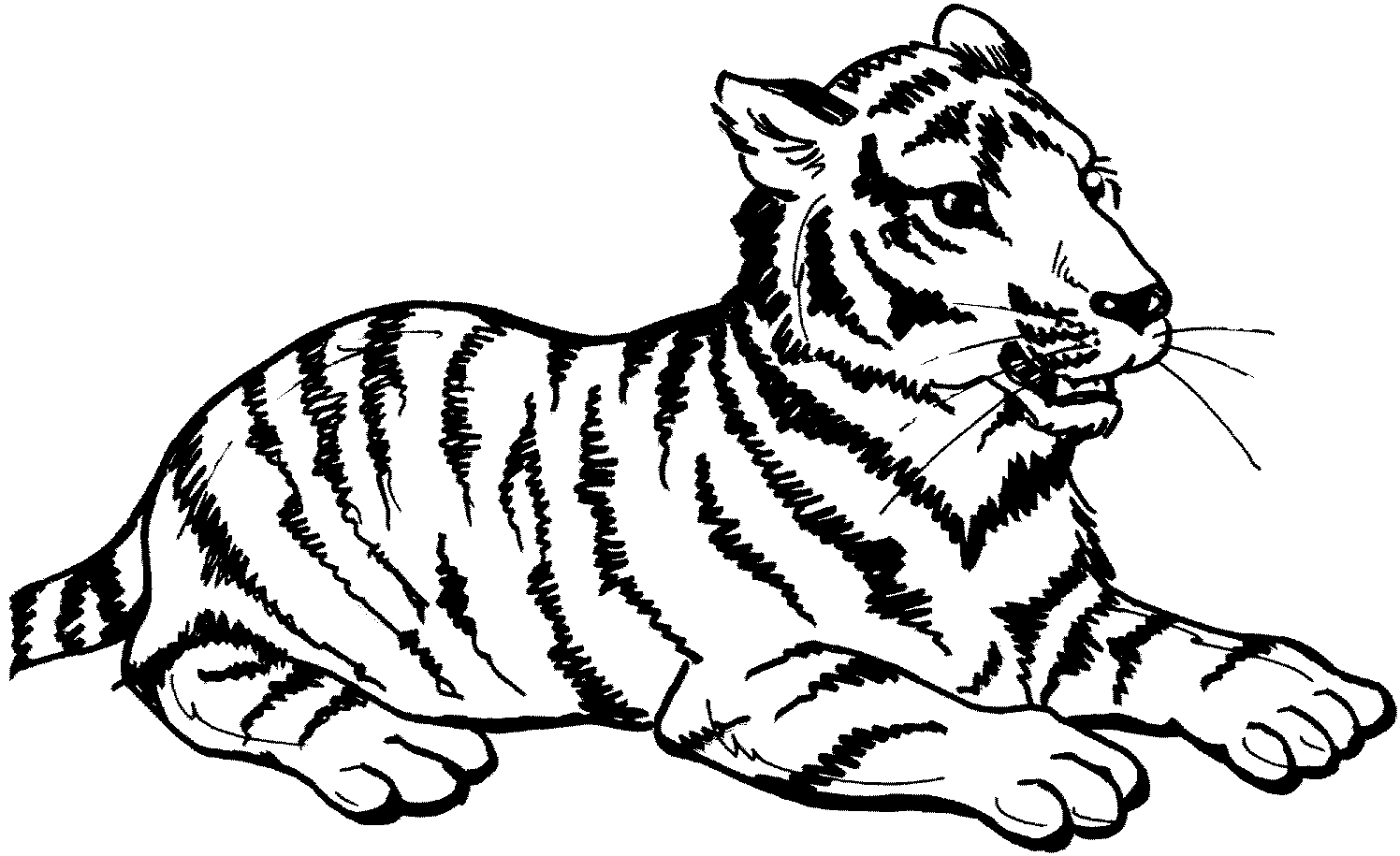 Tigre #9488
