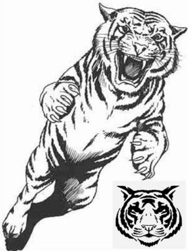 Tigre #9493