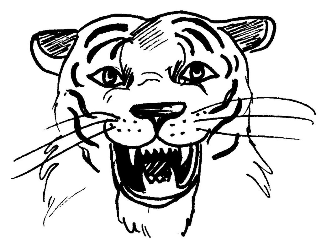 Tigre #9495