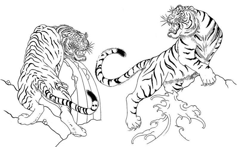Tigre #9497