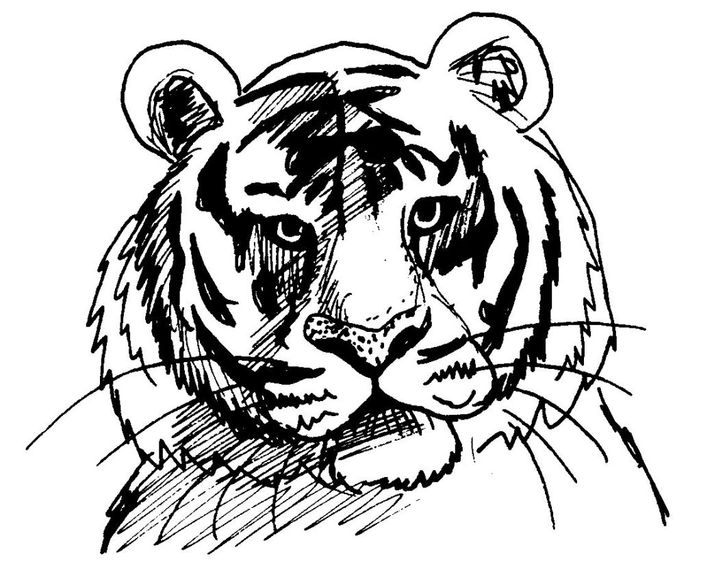 Tigre #9498