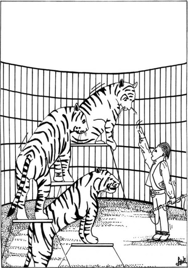 Tigre #9515