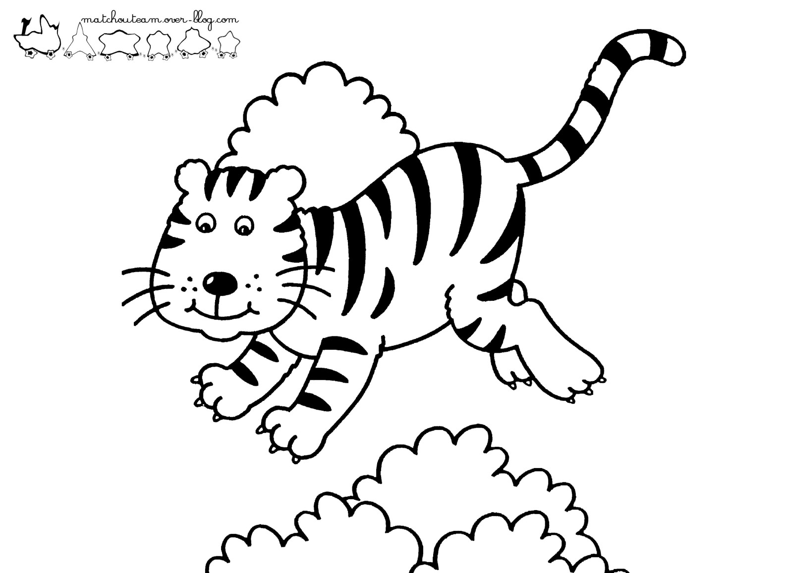 Tigre #9519