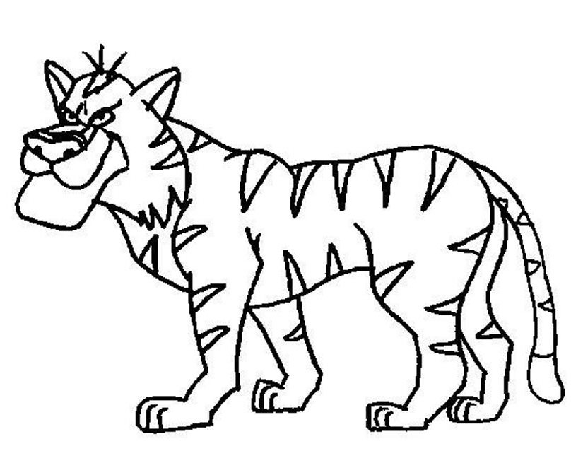 Tigre #9522