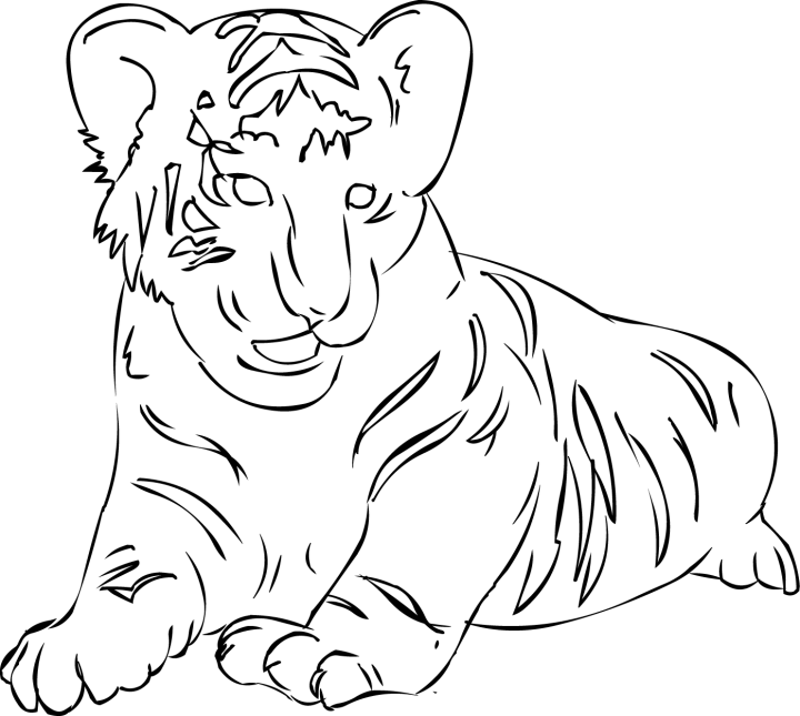 Tigre #9529