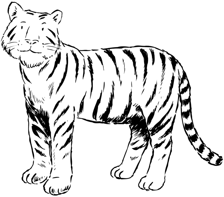 Tigre #9530