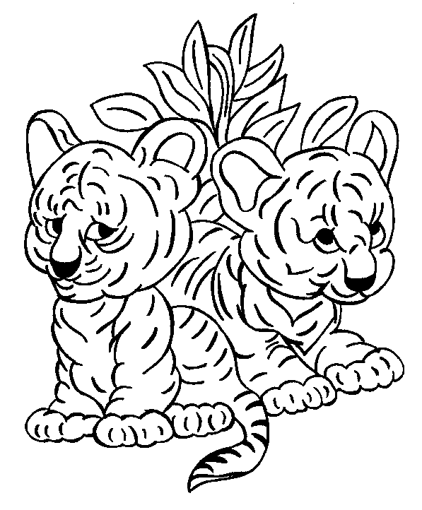 Tigre #9532