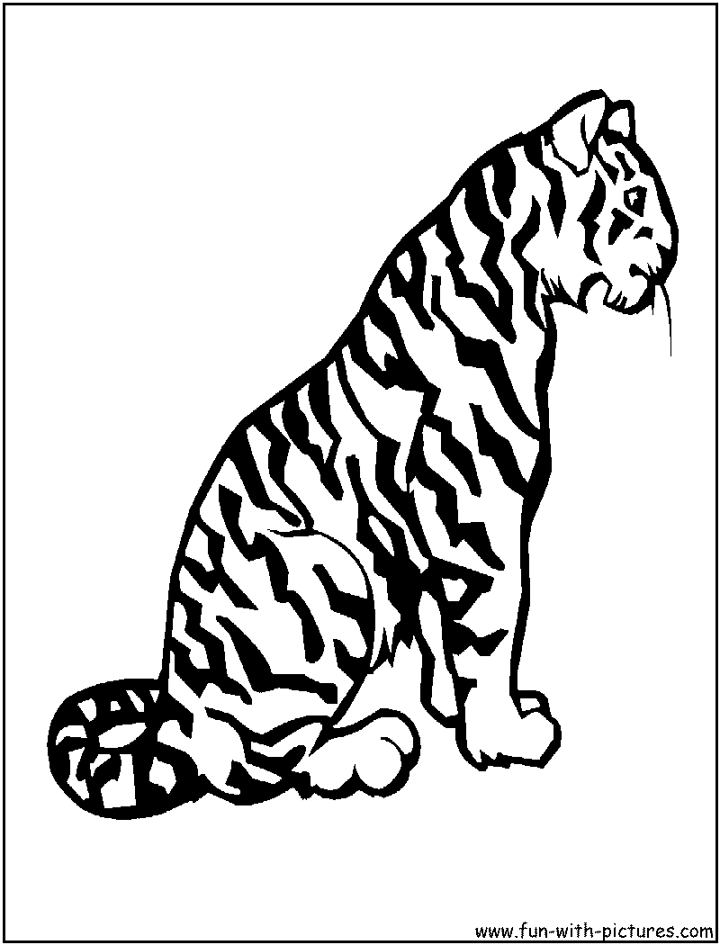 Tigre #9535