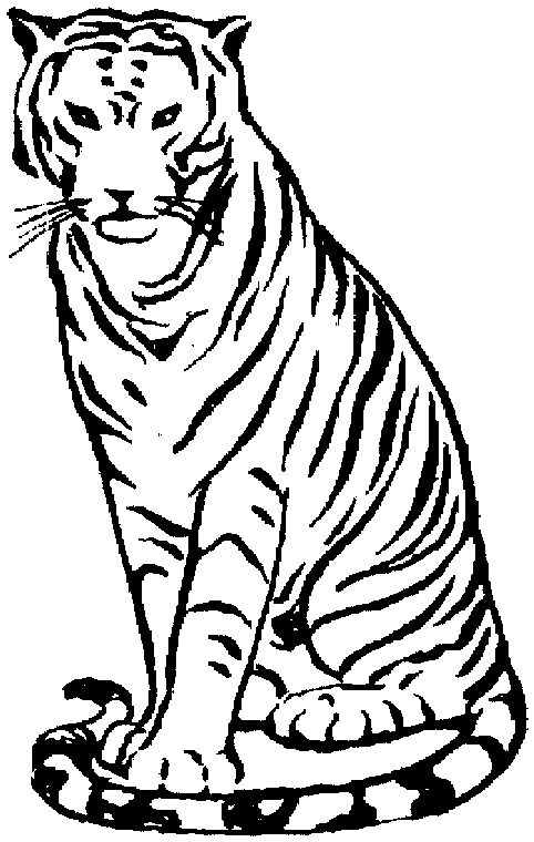 Tigre #9541
