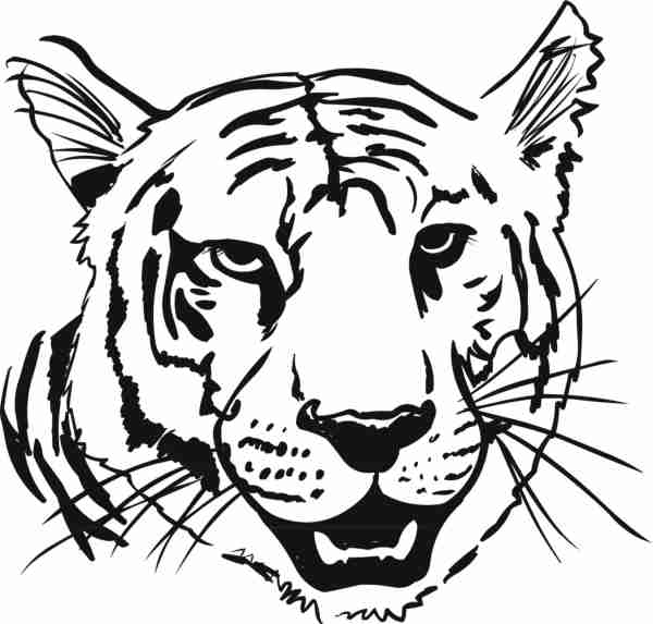 Tigre #9544