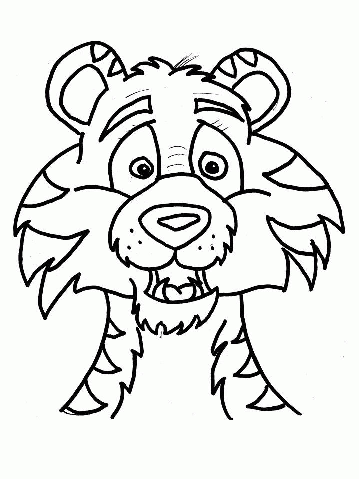 Tigre #9546