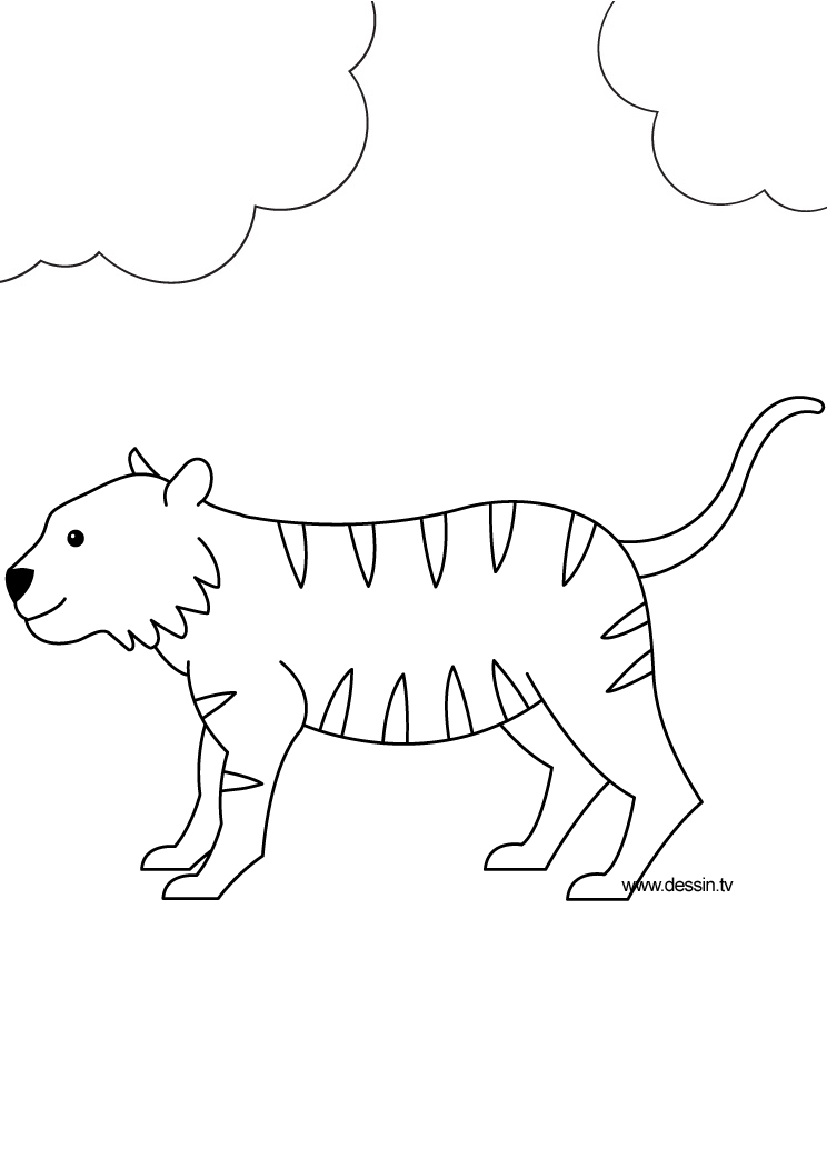 Tigre #9548