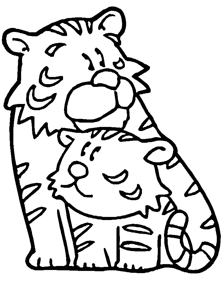 Tigre #9549