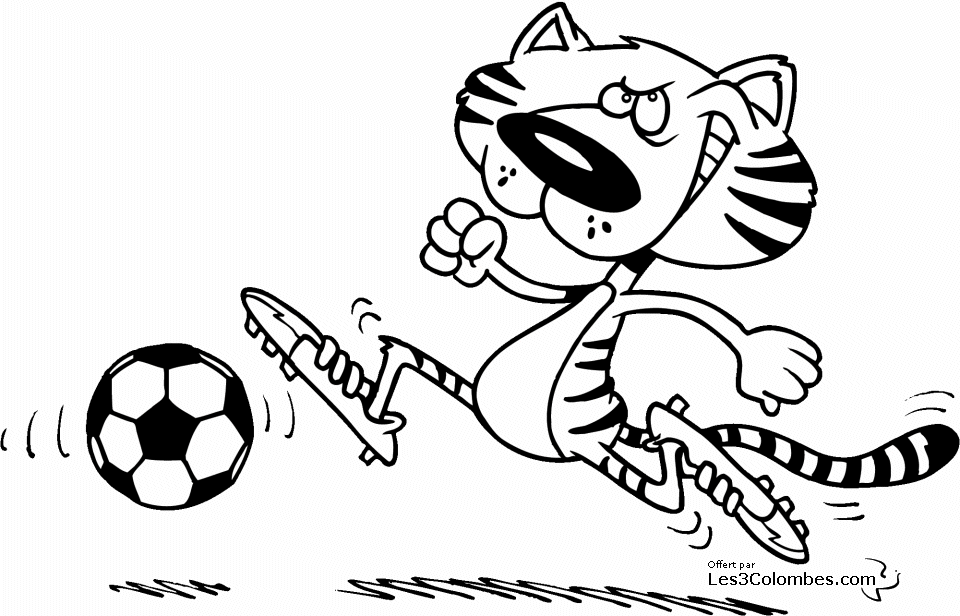 Tigre #9554