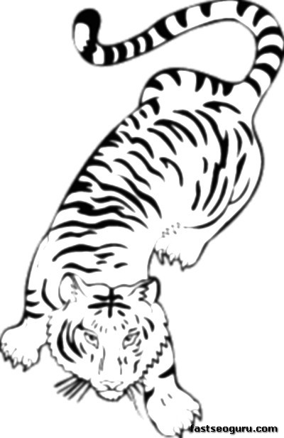 Tigre #9559
