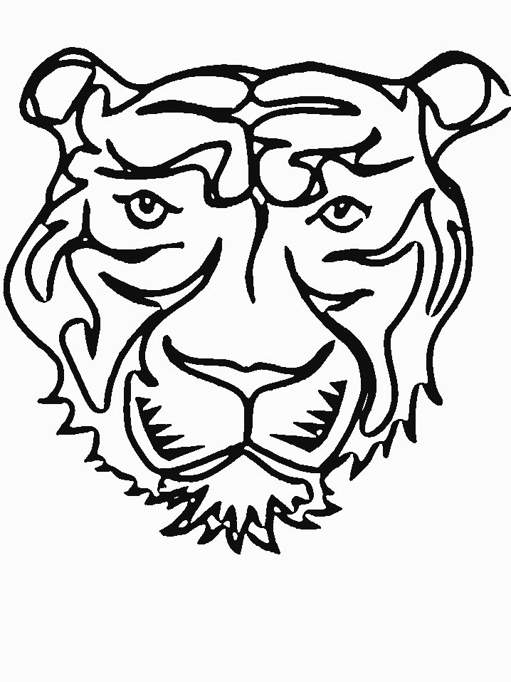 Tigre #9564