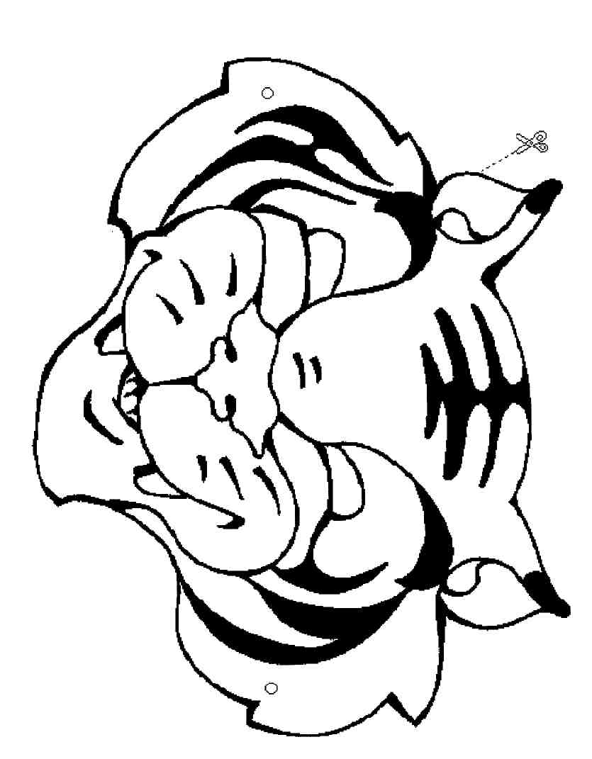Tigre #9565