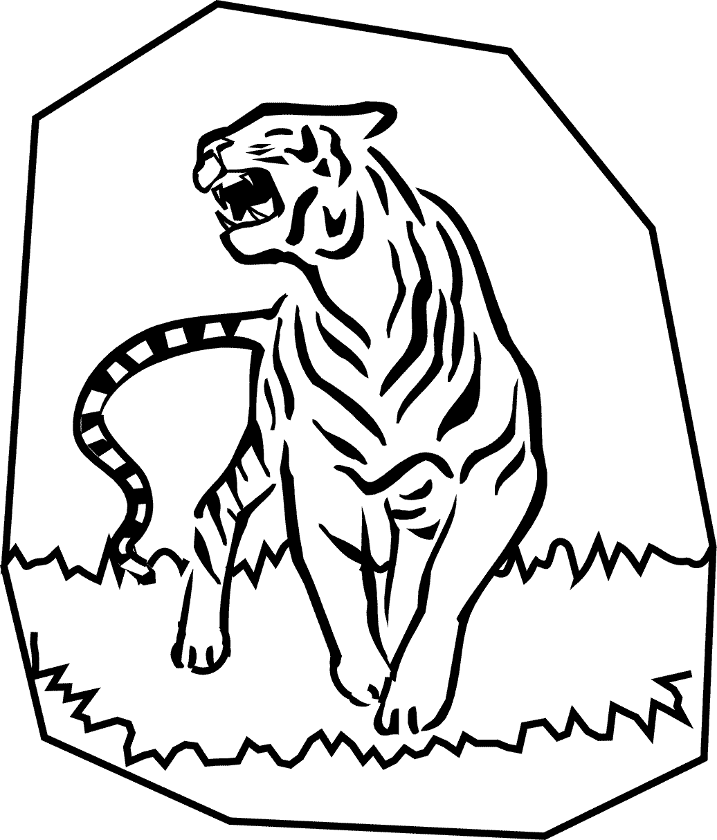 Tigre #9567