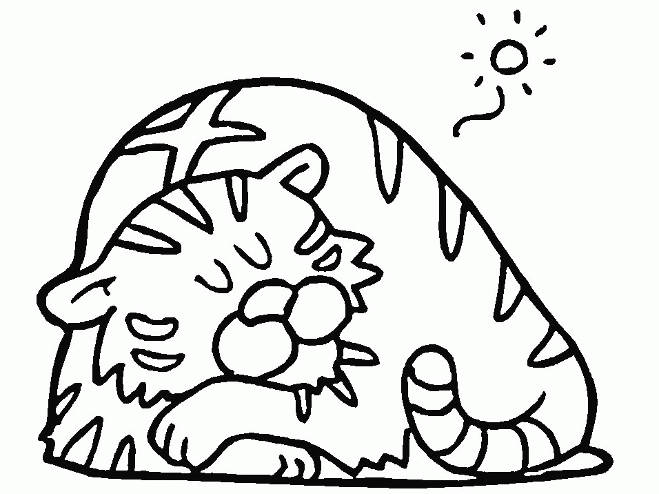 Tigre #9575