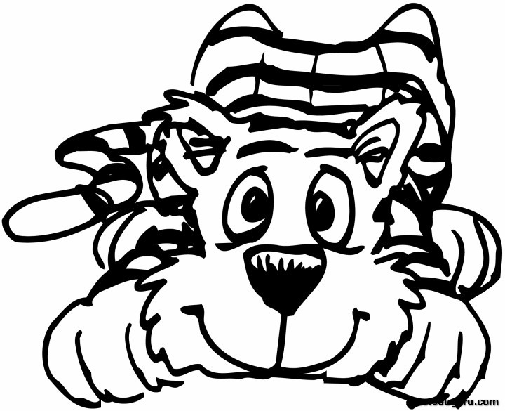 Tigre #9576