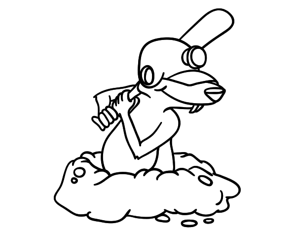 Topo #9595