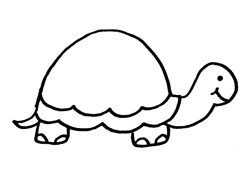 Tortuga #9597
