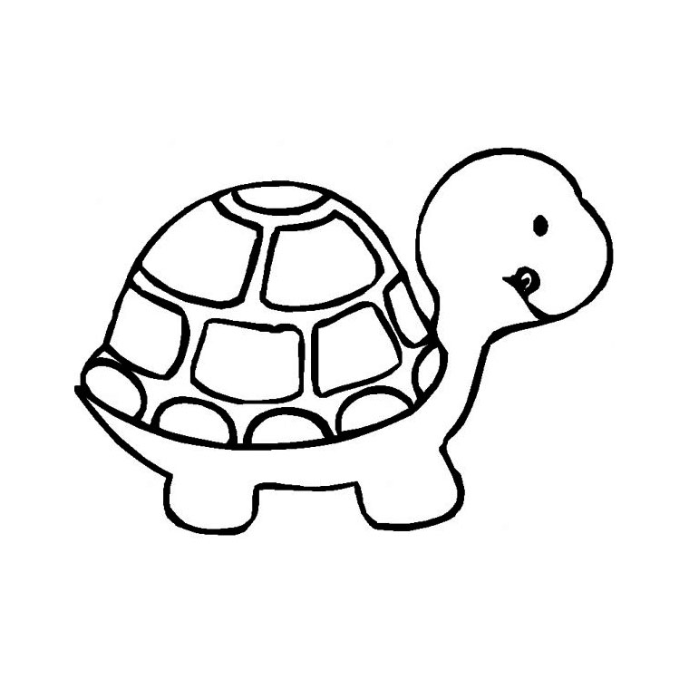 Tortuga #9598