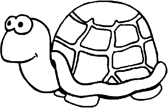 Tortuga #9601