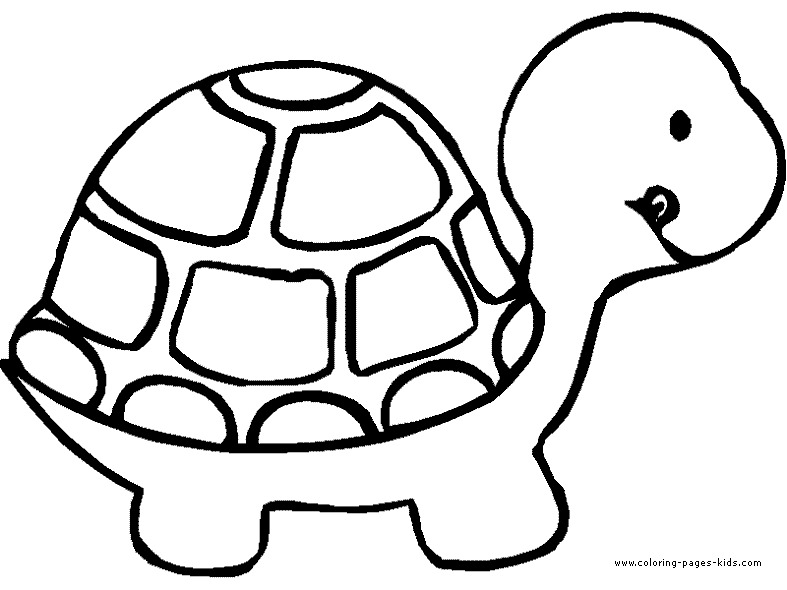 Tortuga #9602