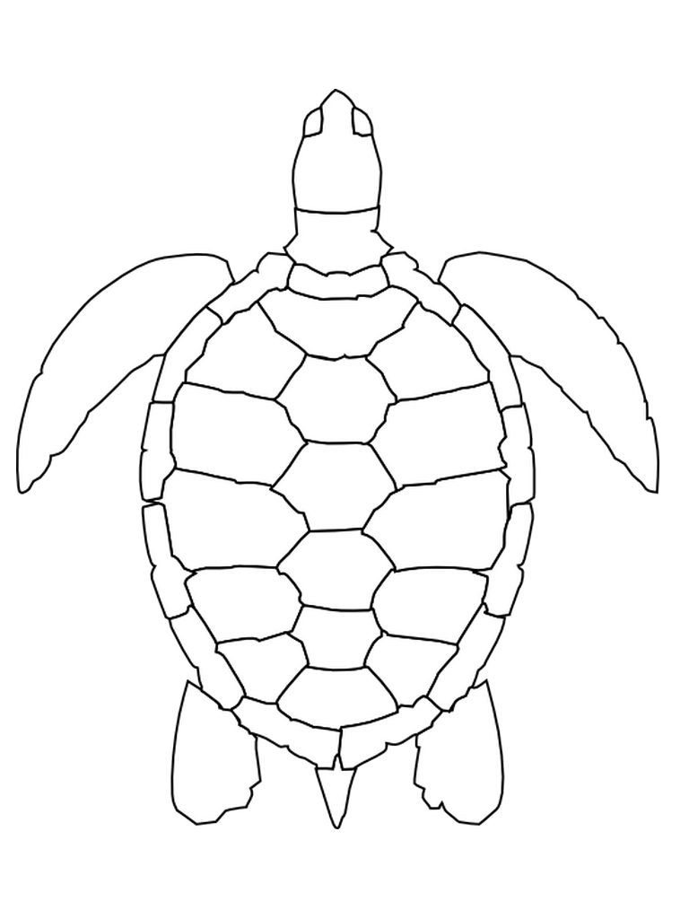 Tortuga #9614