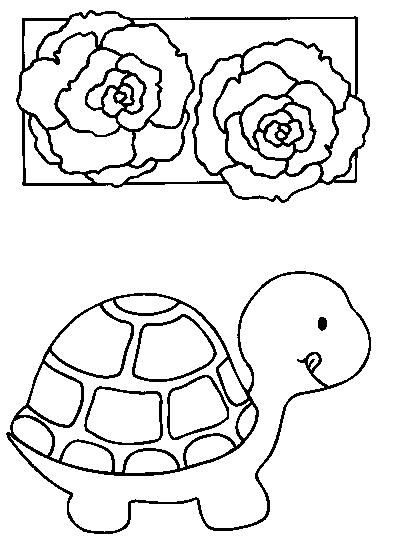 Tortuga #9618