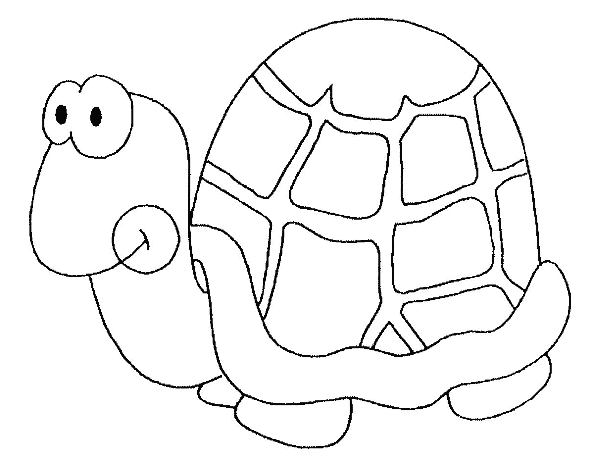 Tortuga #9621